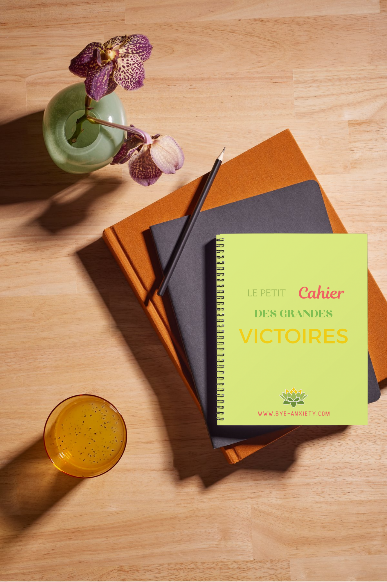 LE PETIT CAHIER DES GRANDES VICTOIRES